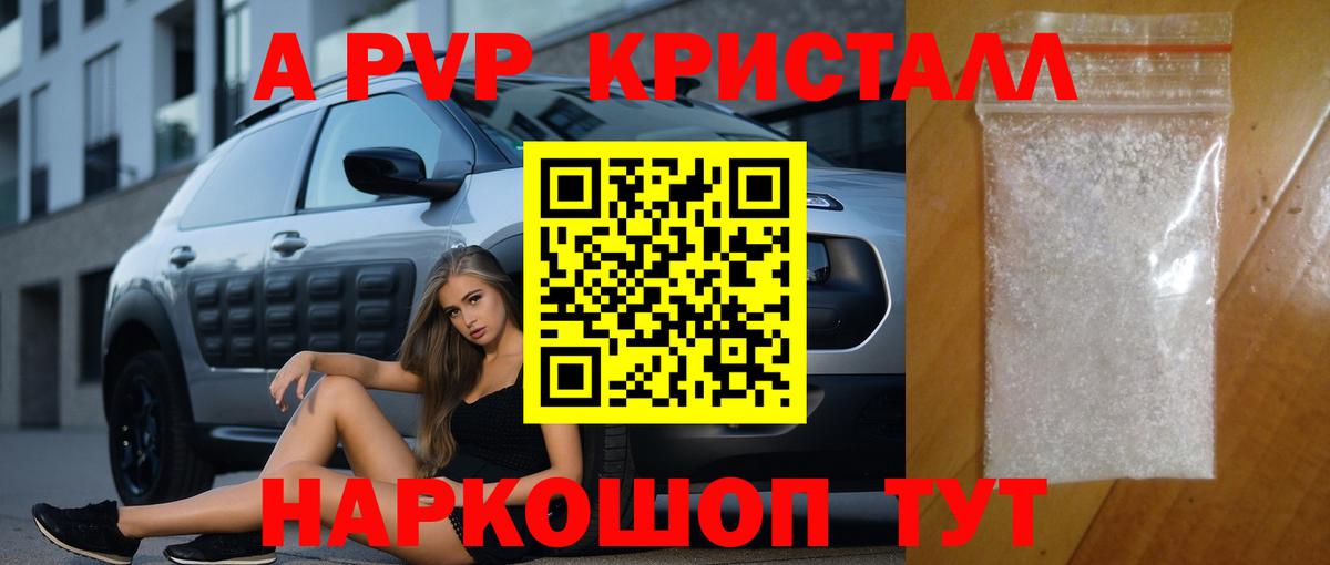 Alfa_PVP СК Горно-Алтайск
